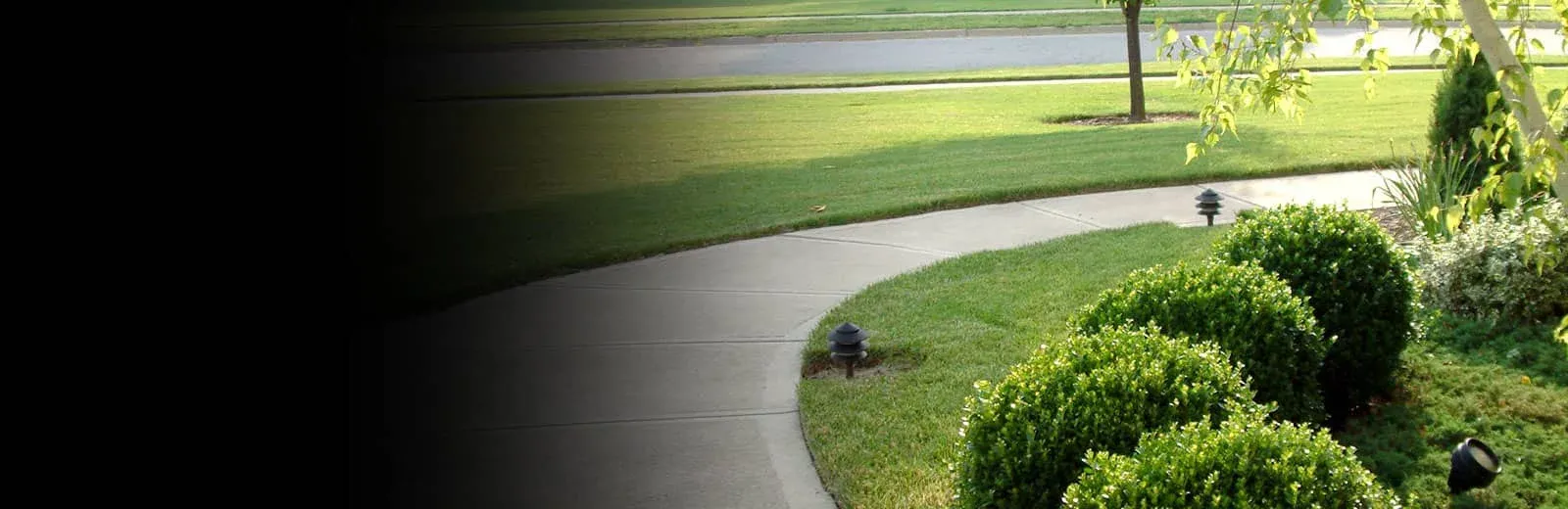 Well maintained trees and shrubs in front yard